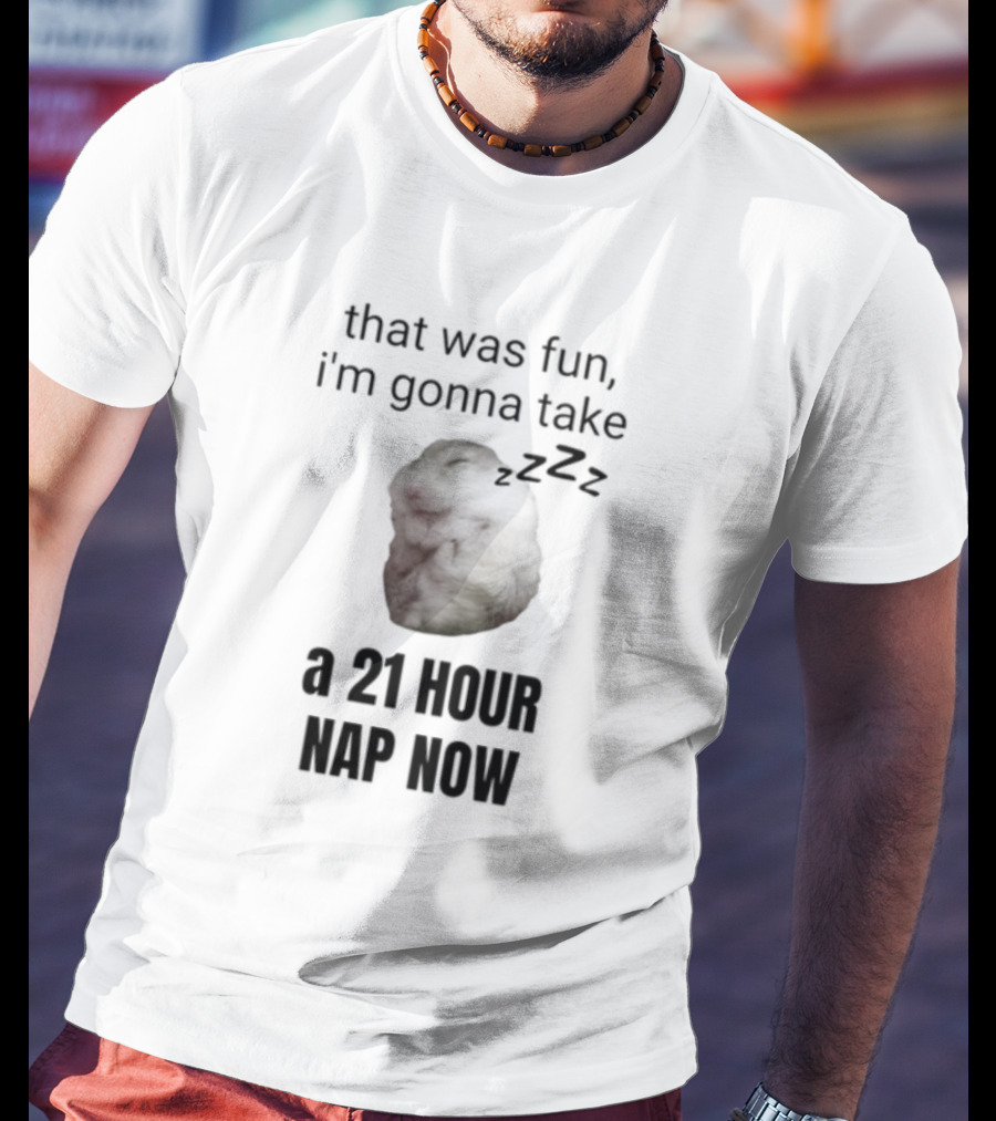 Sillyteestudio That Was Fun I'm Gonna Take A 21 Hour Nap Now ZZZZZ T-Shirt