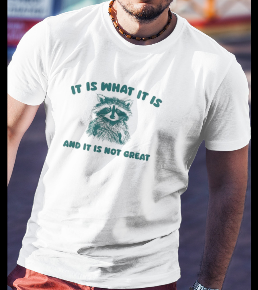 It Is What It Is And It Is Not Great Raccoon T-Shirt