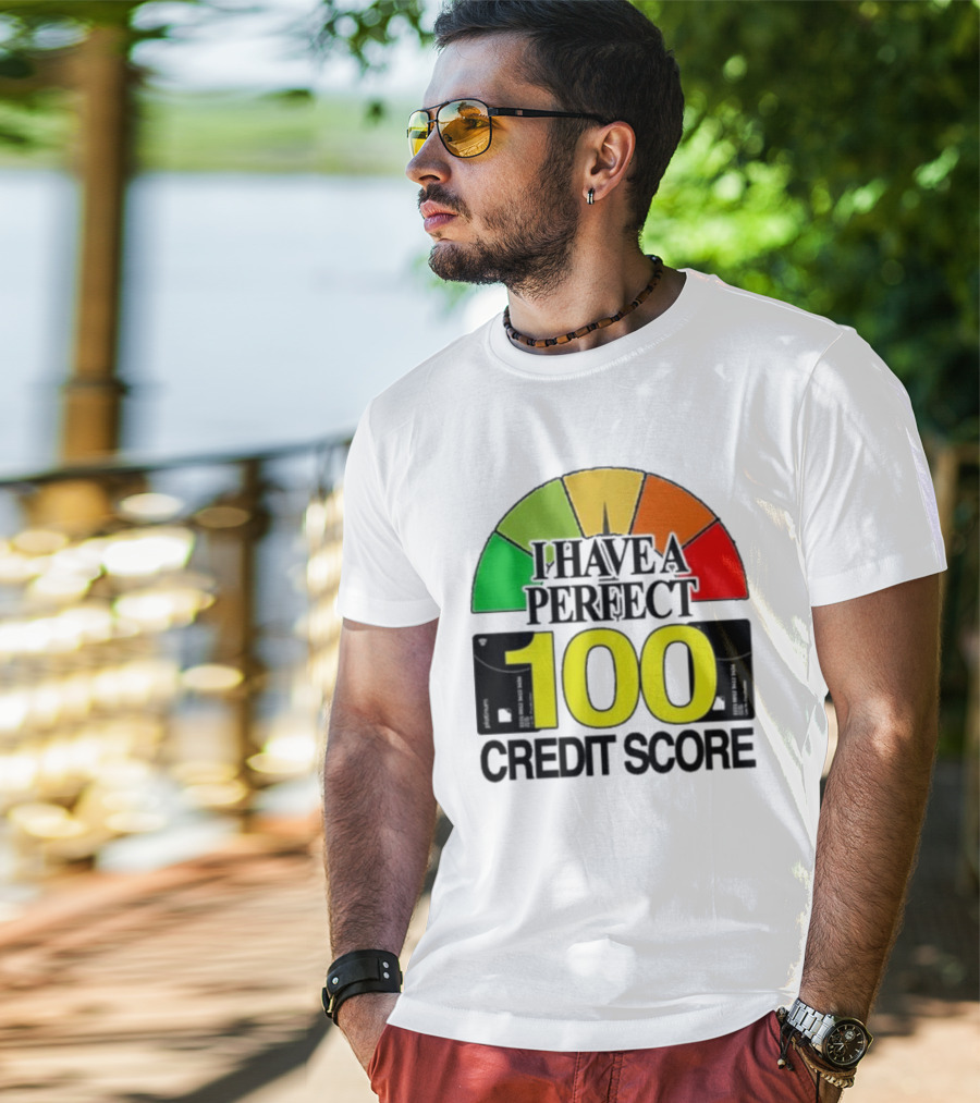 I Have A Perfect 100 Credit Score Gauge Graph T-Shirt