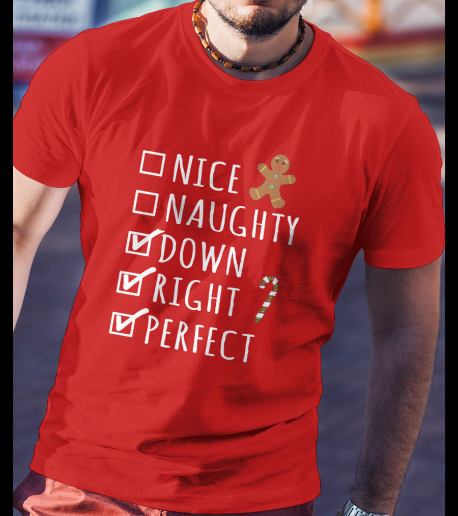 Nice Naughty Down Right Perfect Gingerbread Candy Cane Holiday Checklist T-Shirt