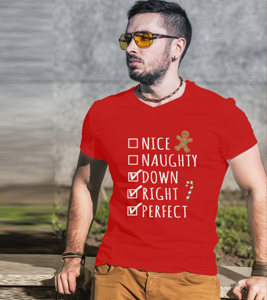Nice Naughty Down Right Perfect Gingerbread Candy Cane Holiday Checklist T-Shirt