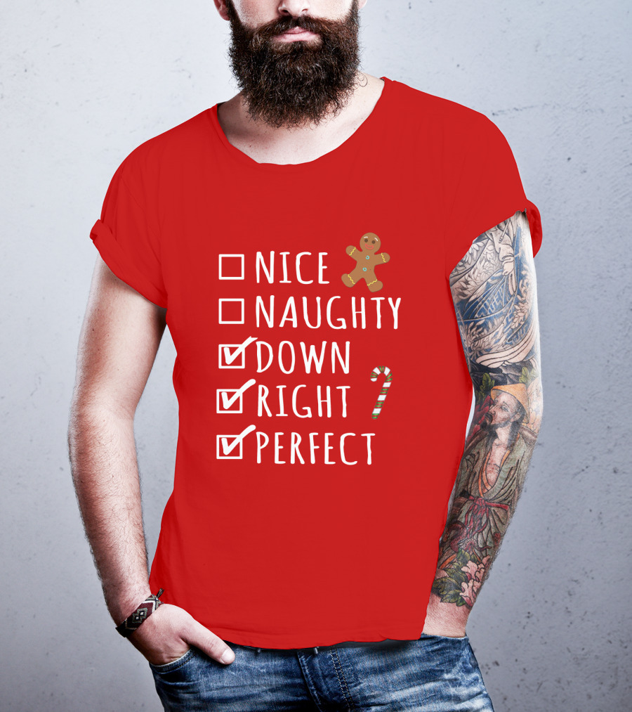 Nice Naughty Down Right Perfect Gingerbread Candy Cane Holiday Checklist T-Shirt