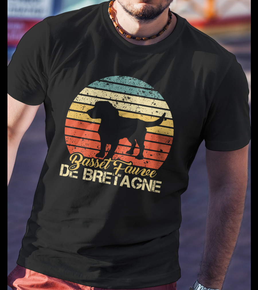 Retro Stripes Basset Fauve De Bretagne Silhouette Vintage T-Shirt
