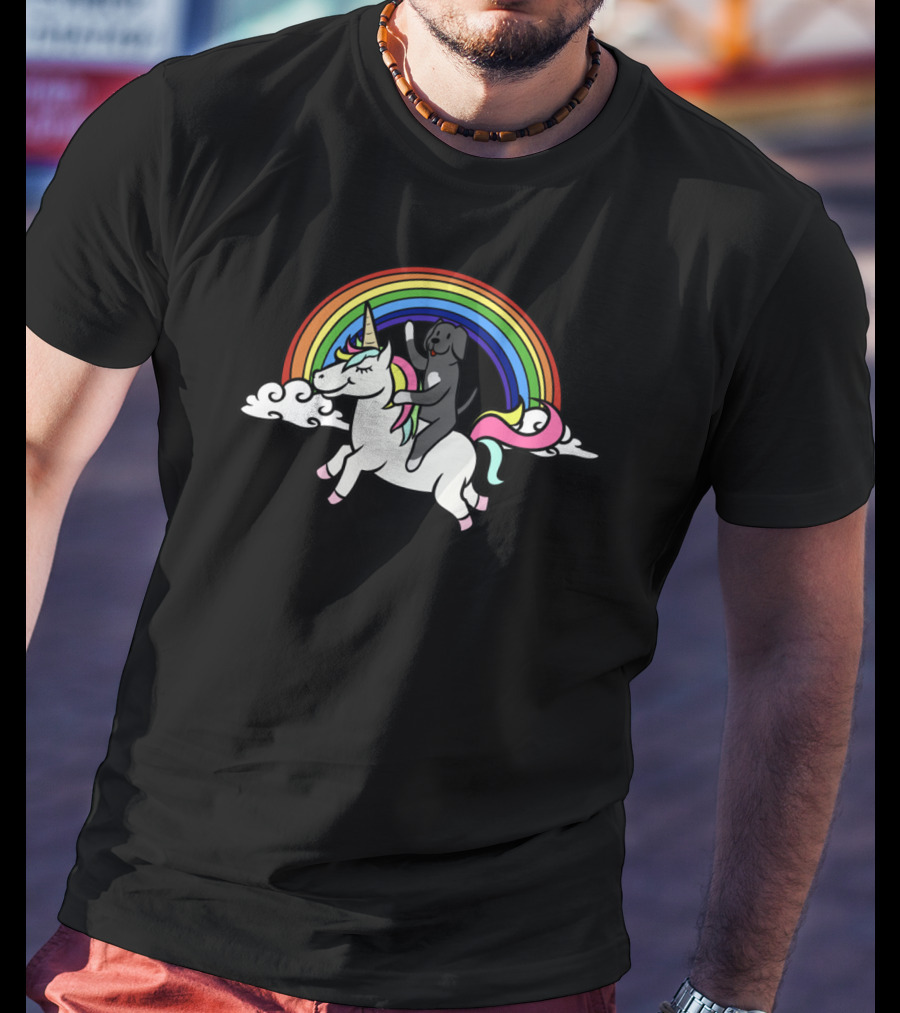 Rainbow Unicorn Adventure With Great Dane Rider T-Shirt