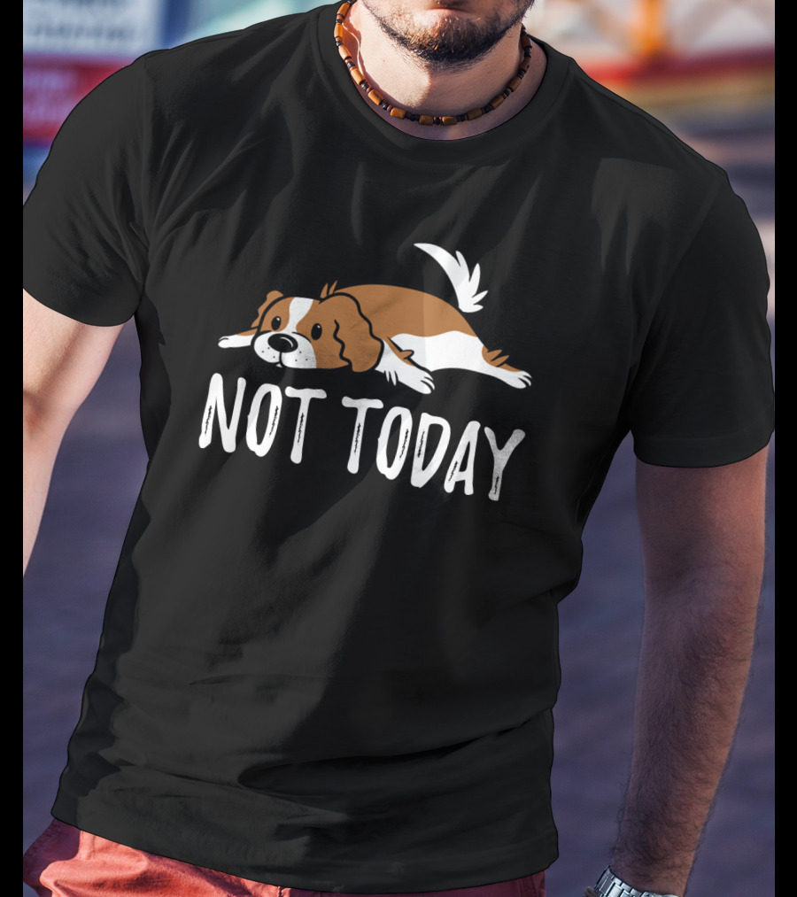 Cavalier King Charles Dog Not Today Relaxed Mood T-Shirt