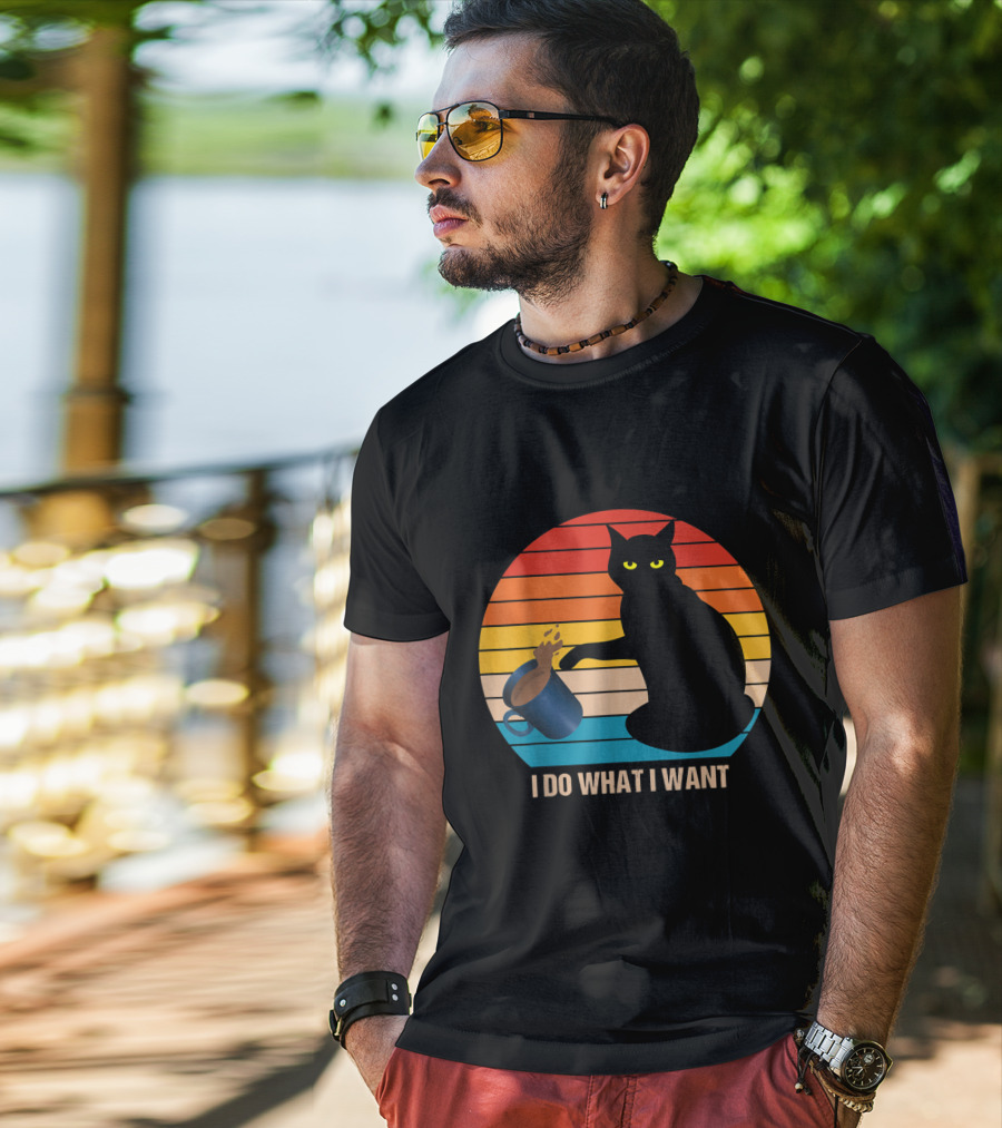 Funny Vintage Cat Do What I Want Cat Lover Retro Sunset T-Shirt
