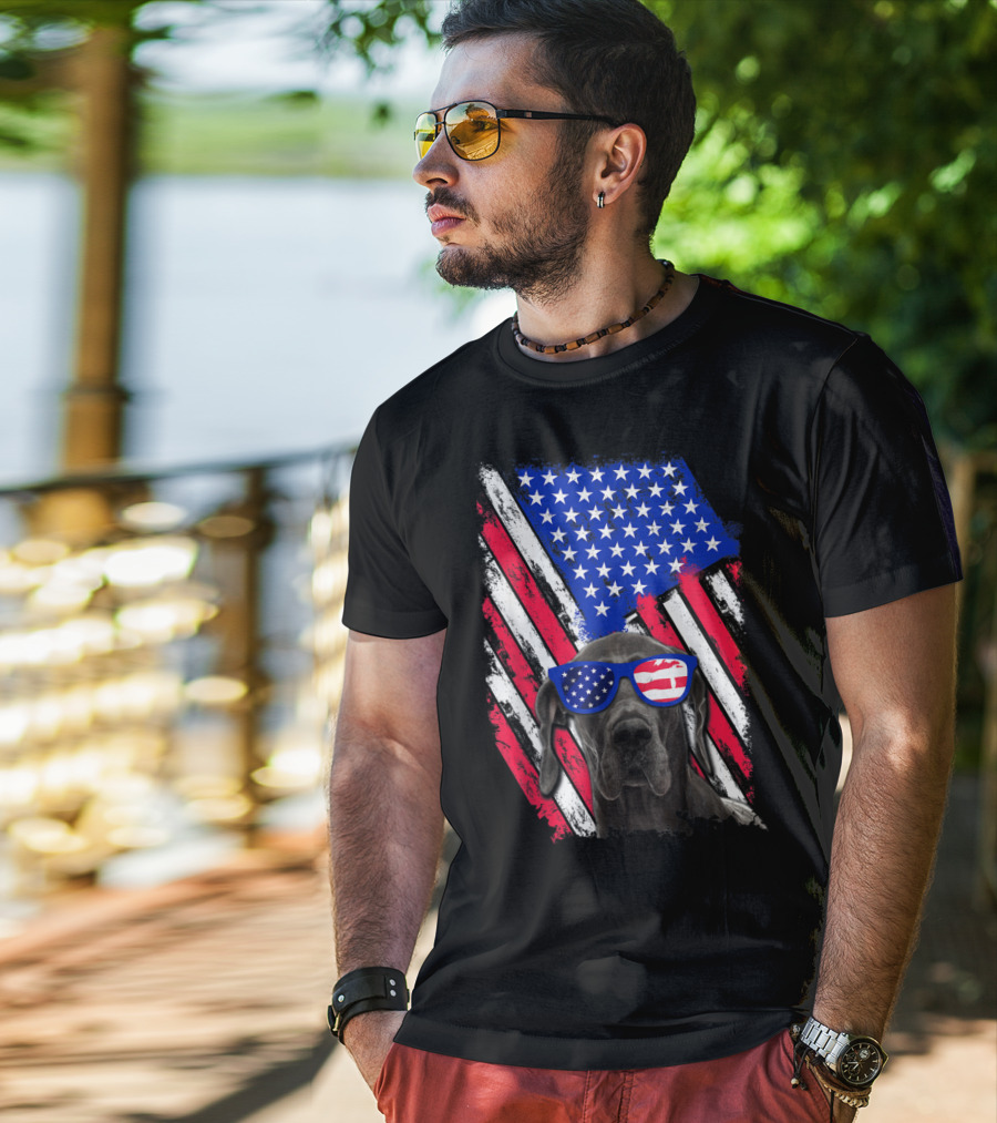 Vintage Distressed Great Dane With American USA Flag Sunglasses T-Shirt