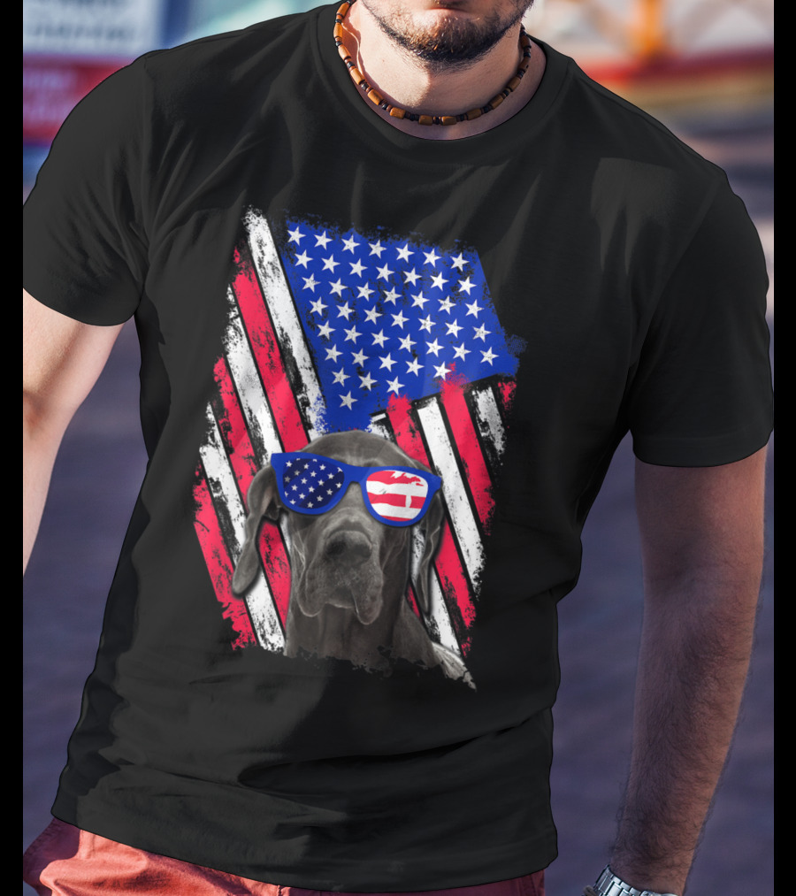 Vintage Distressed Great Dane With American USA Flag Sunglasses T-Shirt