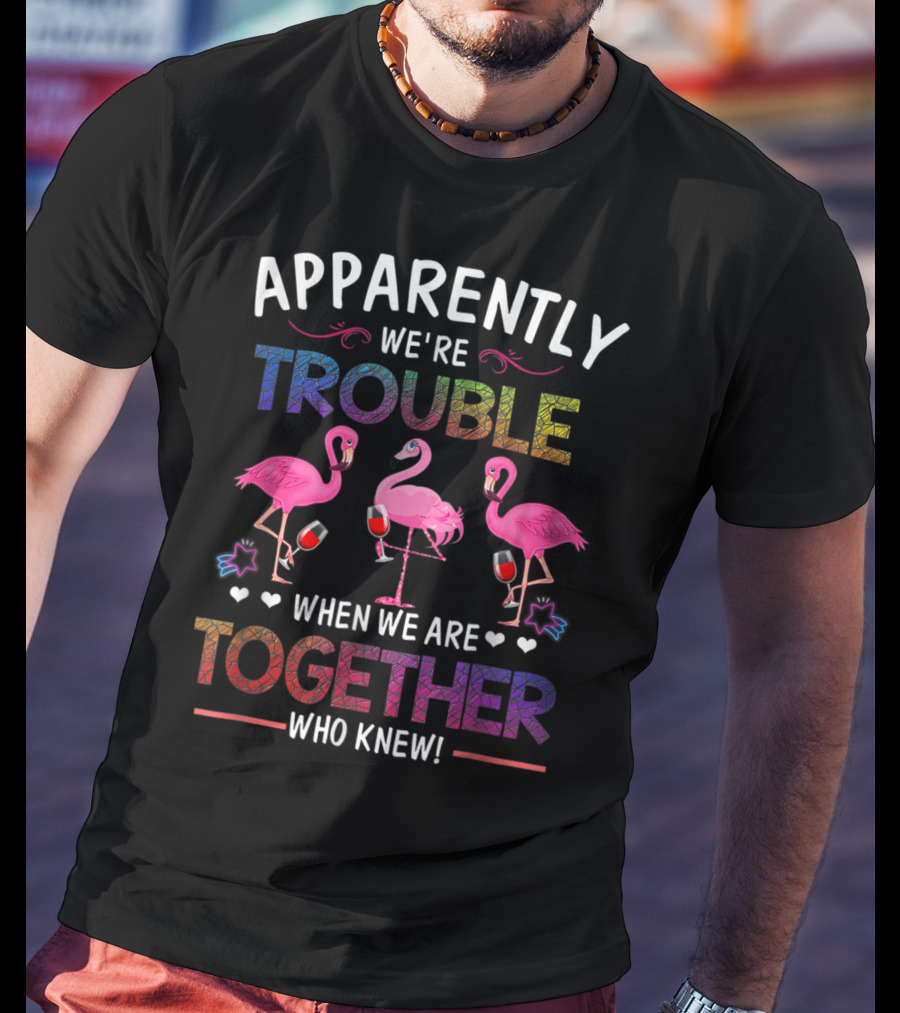 Apparently We're Trouble When We Are Together Who Knew Flamingo Wine Glass Party T-Shirt