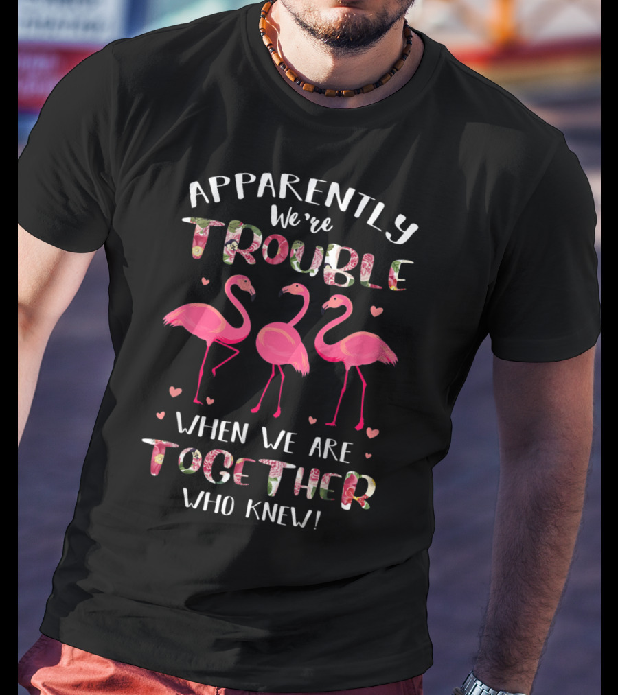 Apparently We're Trouble When We Are Together Flamingo Who Knew T-Shirt
