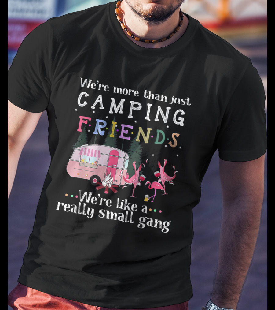 We're More Than Just Camping Friends Flamingo Like A Really Small Gang T-Shirt