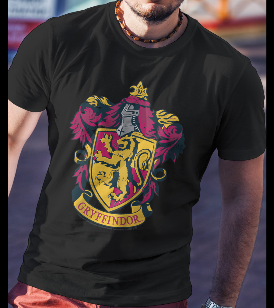 Gryffindor Only Today T-Shirt