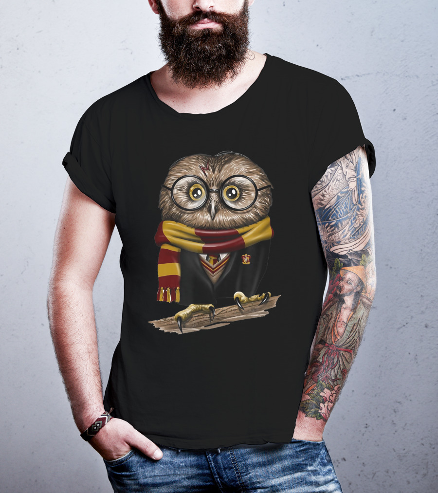Exclusive Owl Wizard Inspired By Only Today Magic School House Colors T-Shirt