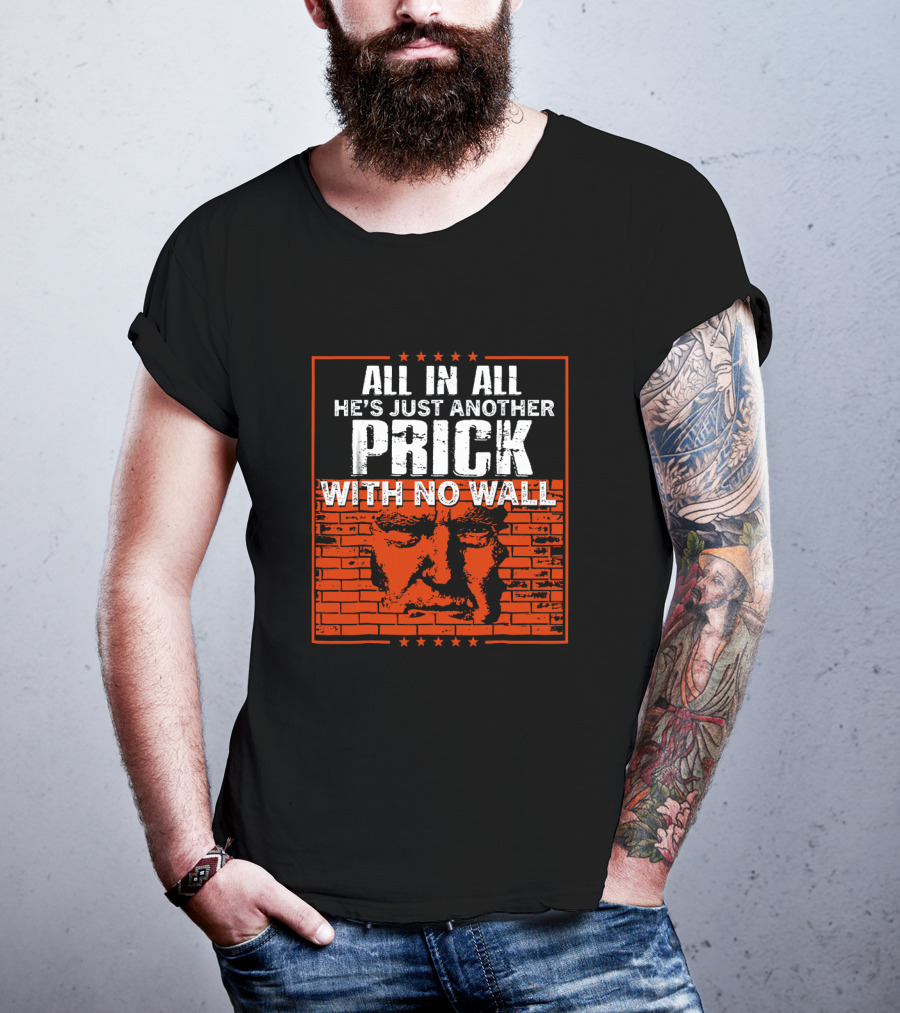 All In All He's Just Another Prick With No Wall With Brick Background T-Shirt