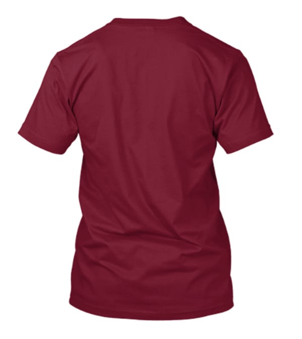 You Can't Hide That Falcons Pride With Atlanta Logo And Stars T-Shirt