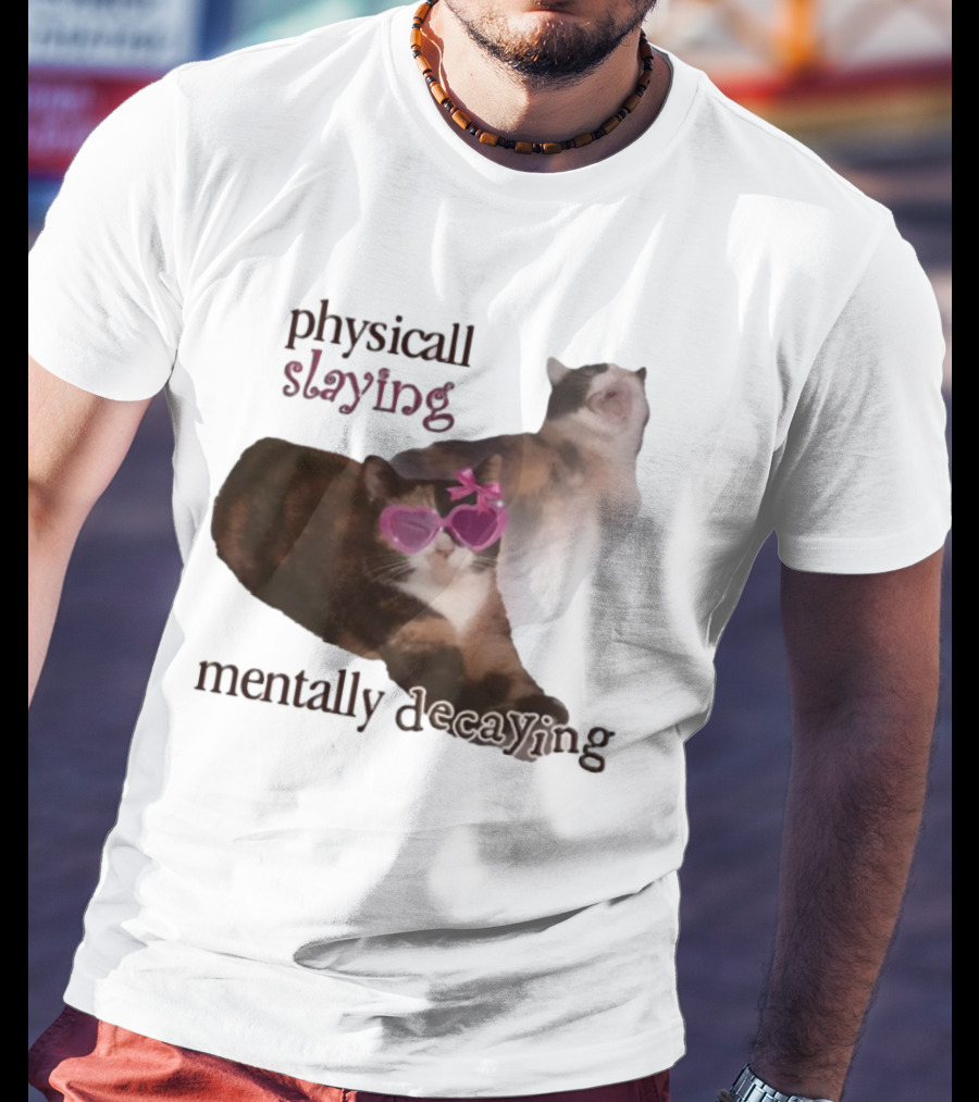 ```Snazzyseagull Physically Slaying Mentally Decaying Cat With Pink Heart Sunglasses``` T-Shirt