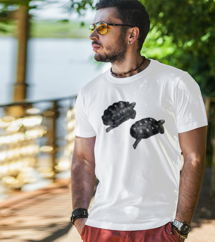Sam Smith Tortoise Twins T-Shirt