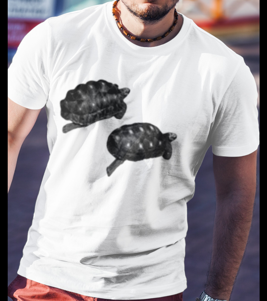 Sam Smith Tortoise Twins T-Shirt