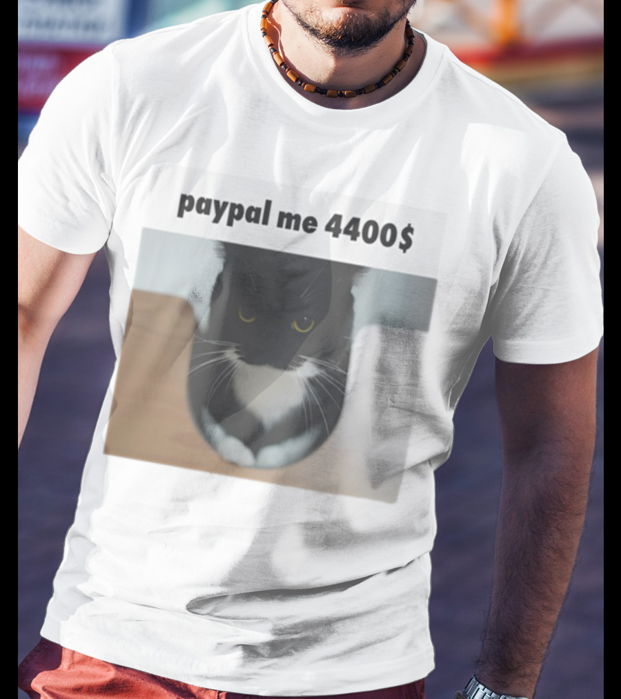 Paypal Me 4400$ Black Cat T-Shirt