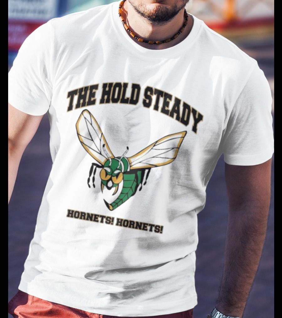 The Hold Steady Hornets Hornets Logo Buzzing Insect Art T-Shirt