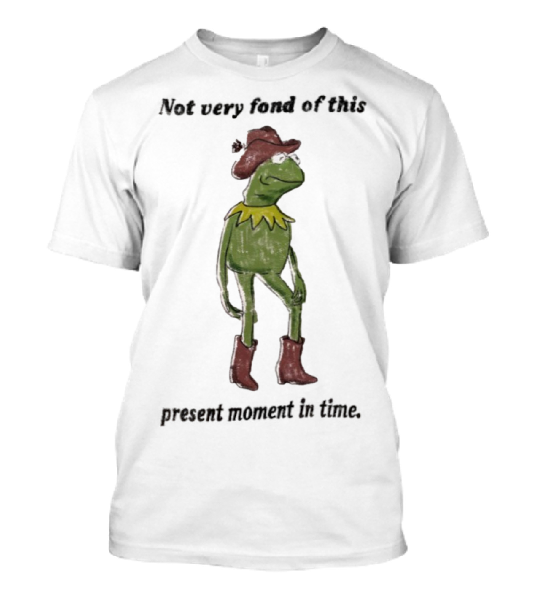 Not Very Fond Of This Present Moment In Time Frog Cowboy Boots Hat T-Shirt