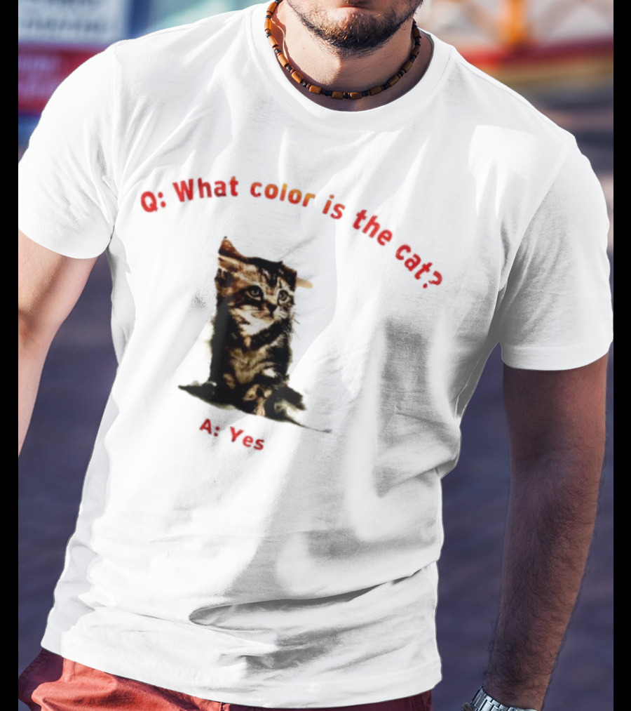 What Color Is The Cat Yes Kitten T-Shirt