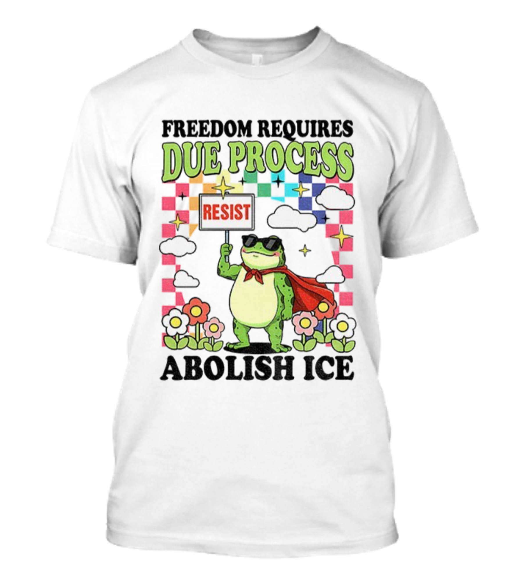 Freedom Requires Due Process Frog Resist Abolish ICE T-Shirt