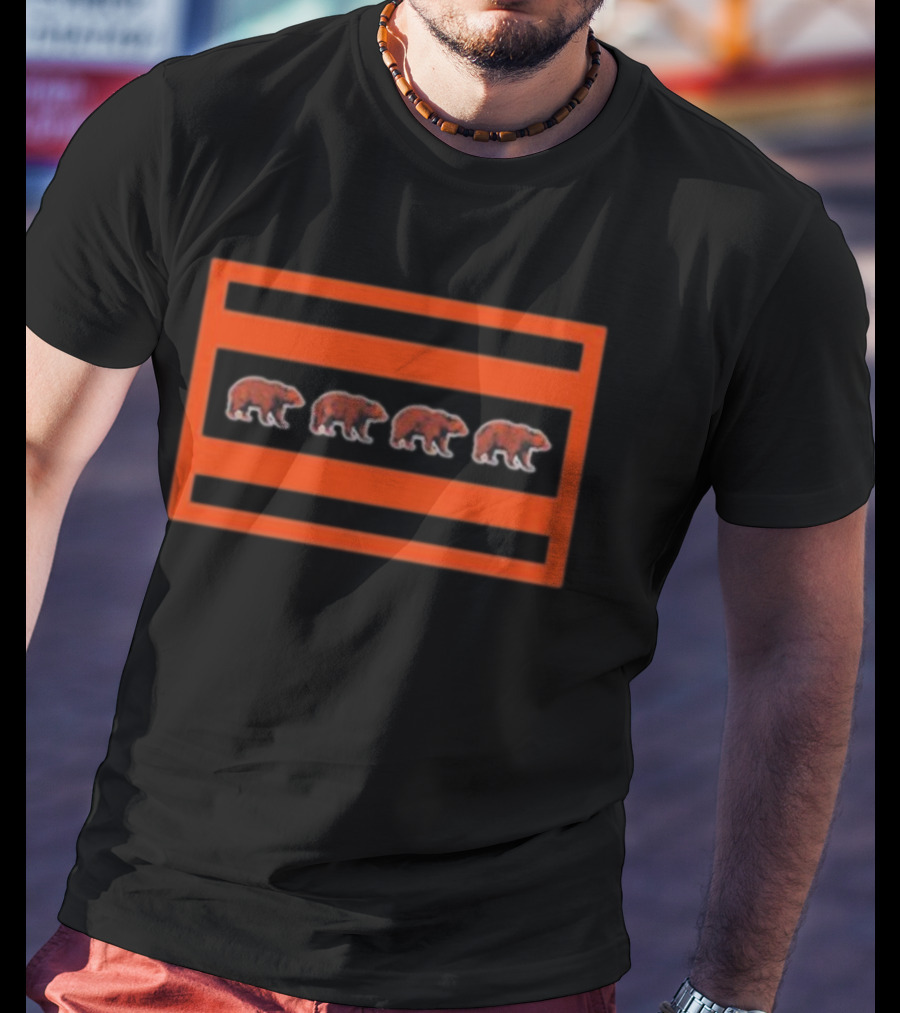 Chicago Bears Hoge And Jahns Flag With Bear Icons T-Shirt