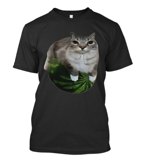 Watermelon Cat Meme Humor Collage T-Shirt