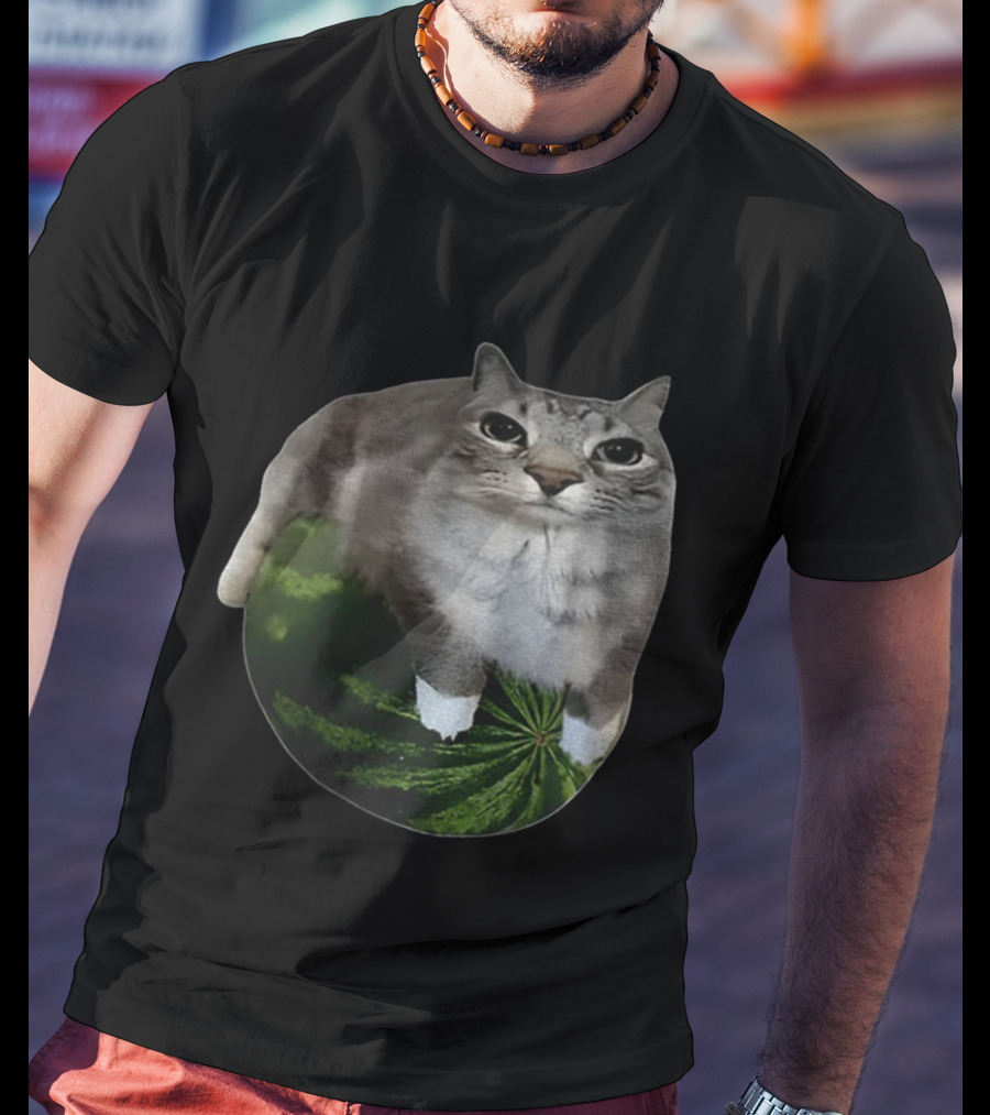 Watermelon Cat Meme Humor Collage T-Shirt