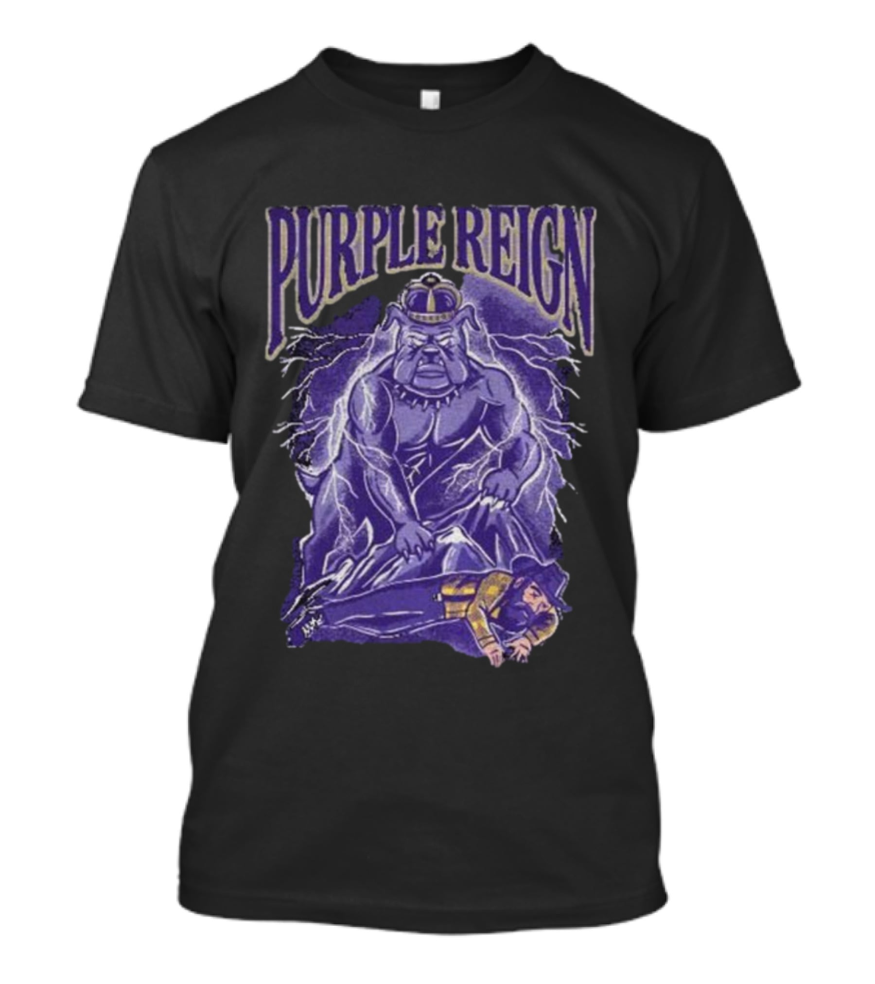 Purple Reign JMU Triumph Over Appalachian State Victory T-Shirt