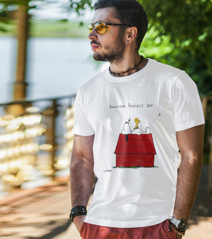 Snoopy And Woodstock Relaxing On Doghouse Perfect Day T-Shirt