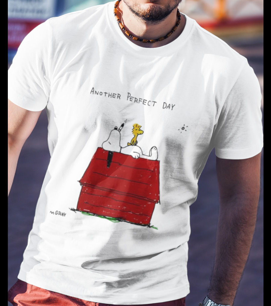 Snoopy And Woodstock Relaxing On Doghouse Perfect Day T-Shirt