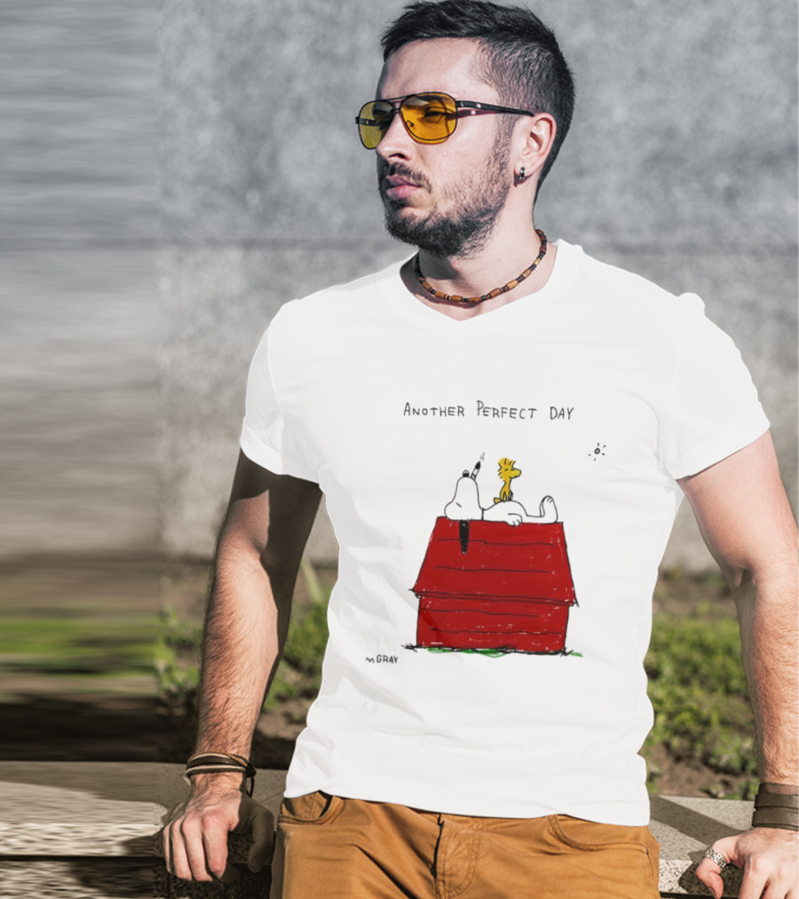 Snoopy And Woodstock Relaxing On Doghouse Perfect Day T-Shirt