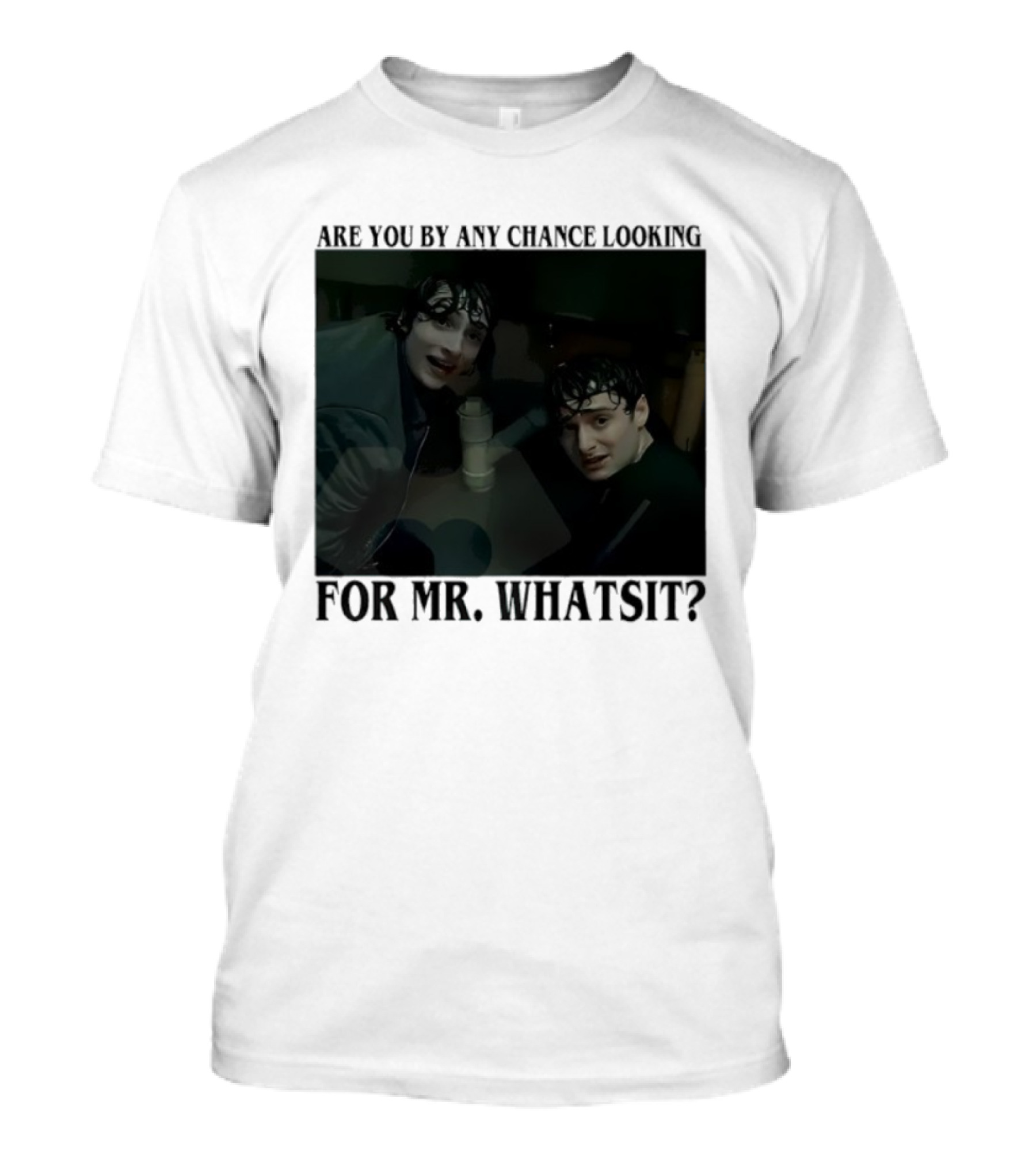 Mike And Will Are You By Any Chance Looking For Mr. Whatsit Stranger 1980s Adventure Fantasy T-Shirt