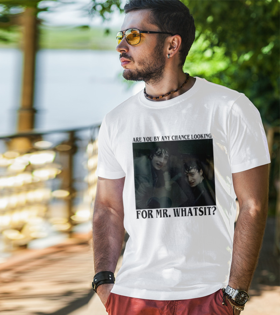 Mike And Will Are You By Any Chance Looking For Mr. Whatsit Stranger 1980s Adventure Fantasy T-Shirt