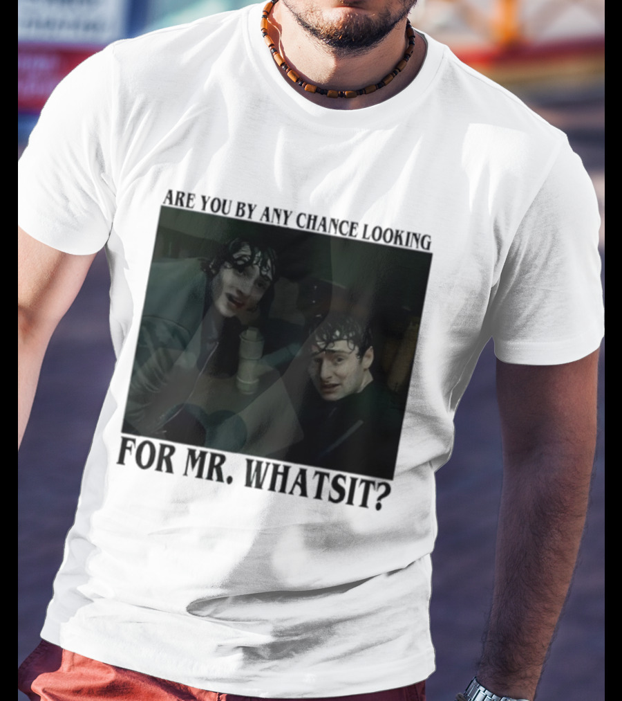 Mike And Will Are You By Any Chance Looking For Mr. Whatsit Stranger 1980s Adventure Fantasy T-Shirt