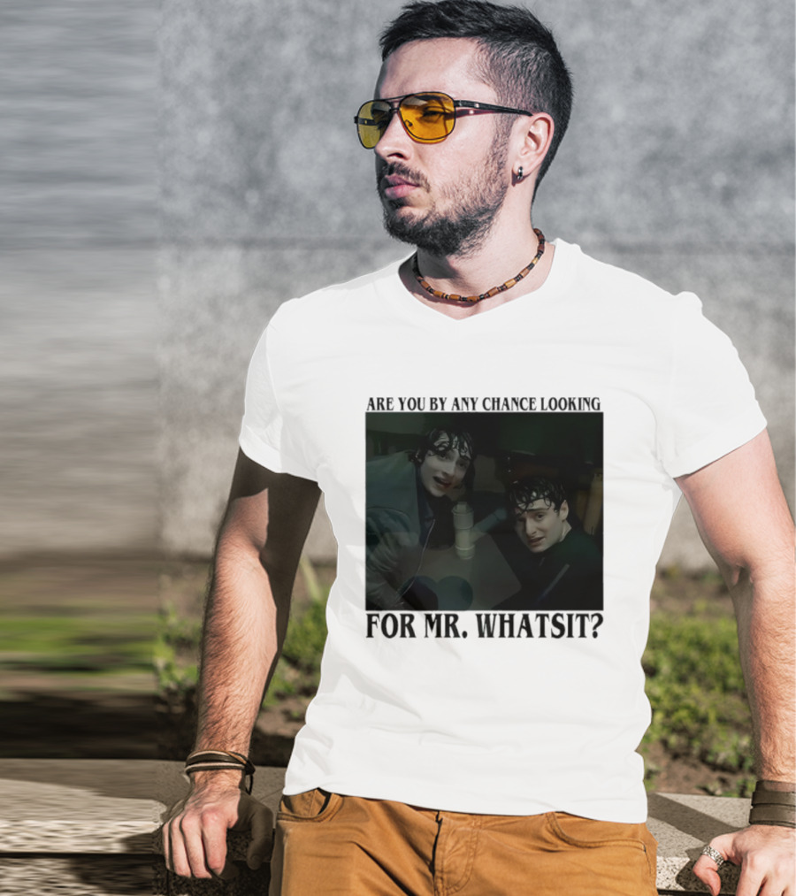Mike And Will Are You By Any Chance Looking For Mr. Whatsit Stranger 1980s Adventure Fantasy T-Shirt