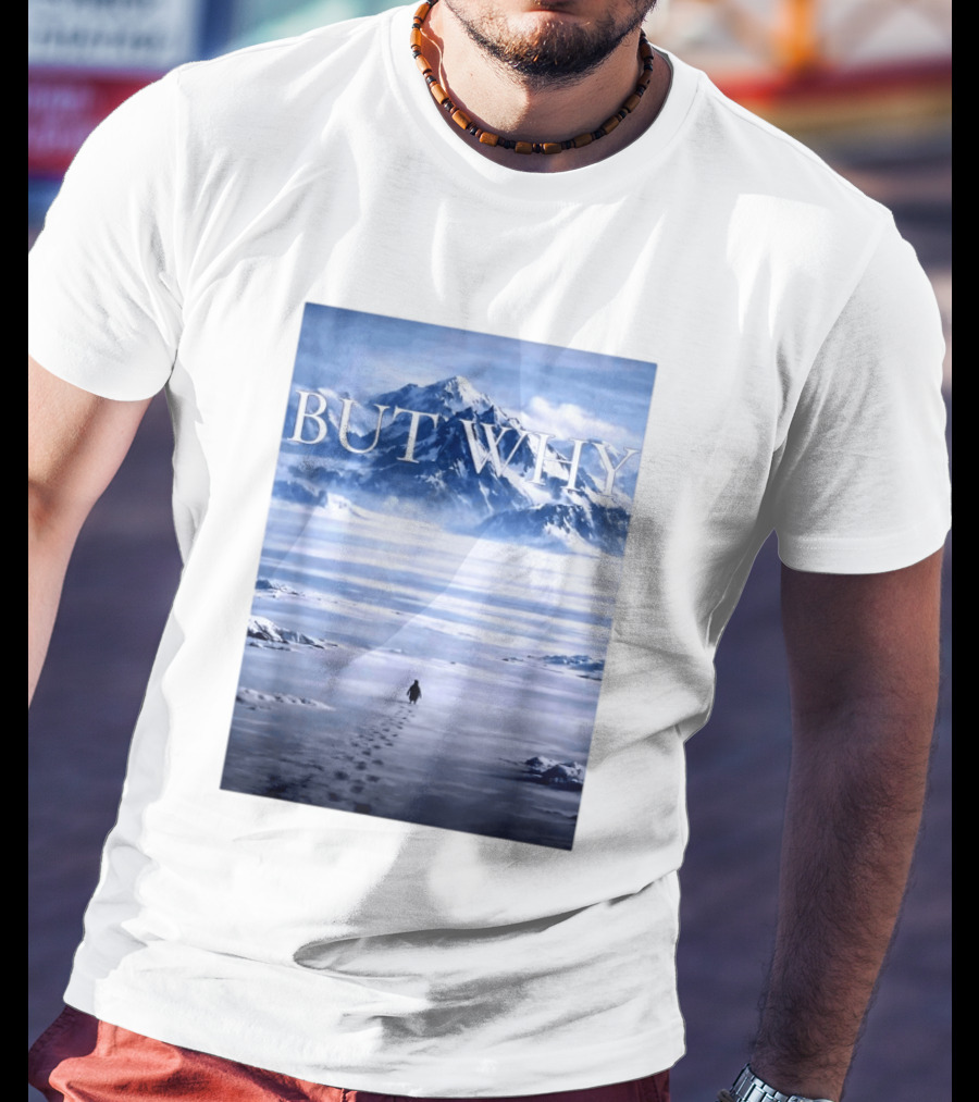But Why Penguin Mountains T-Shirt