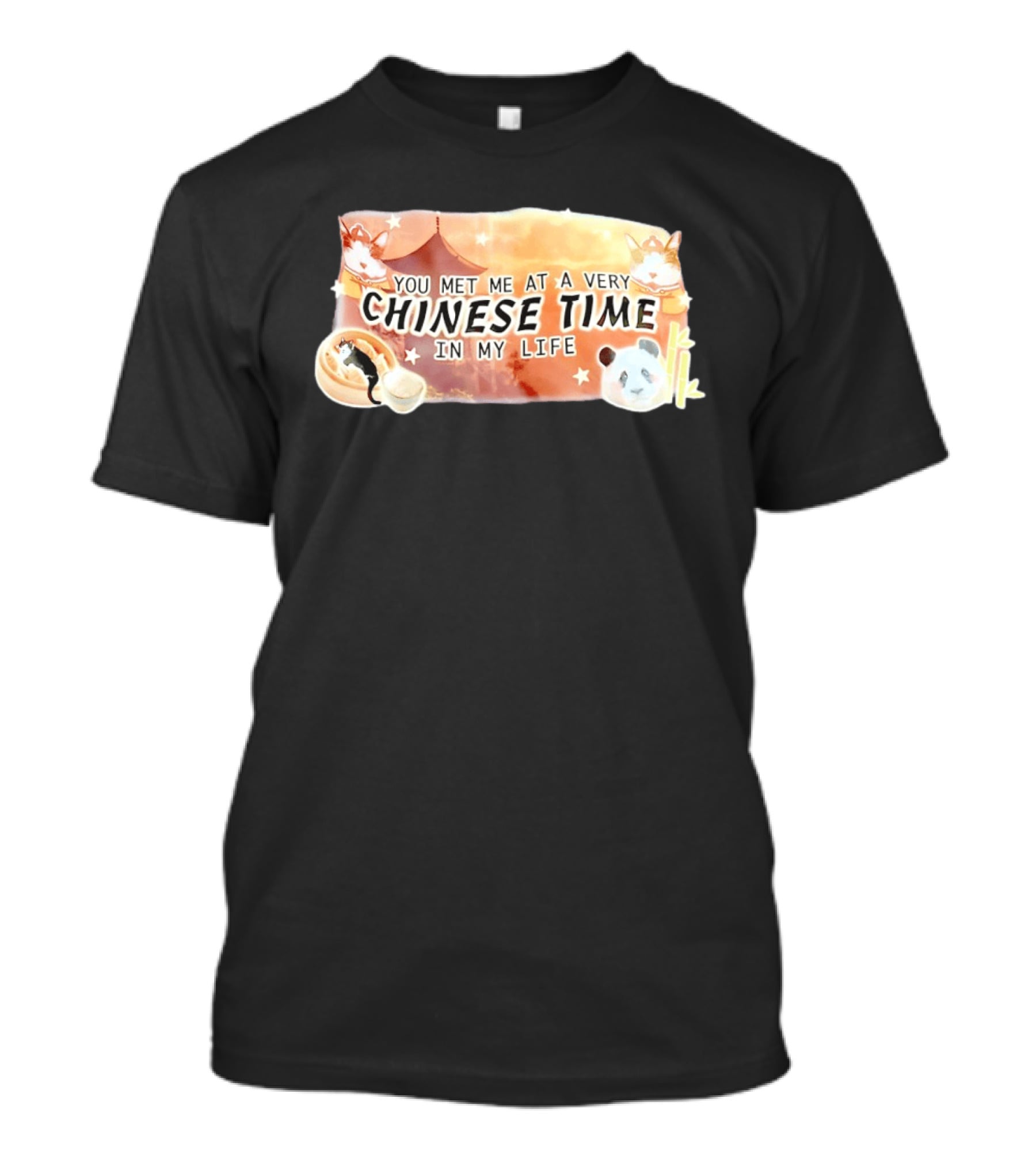 You Met Me At A Very Chinese Time Panda Dumplings Chopsticks Cat Pagoda T-Shirt