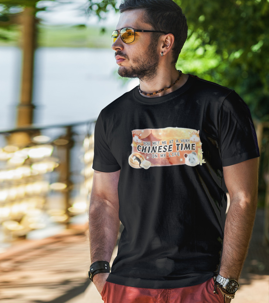 You Met Me At A Very Chinese Time Panda Dumplings Chopsticks Cat Pagoda T-Shirt