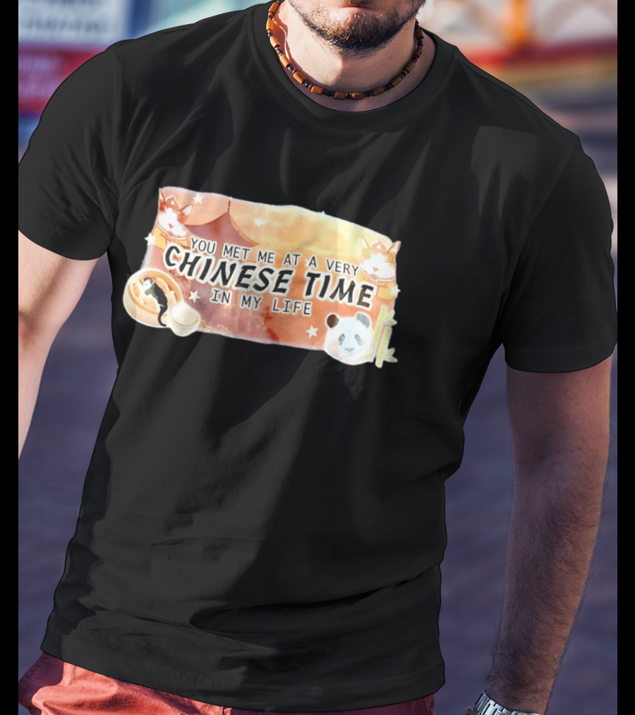 You Met Me At A Very Chinese Time Panda Dumplings Chopsticks Cat Pagoda T-Shirt