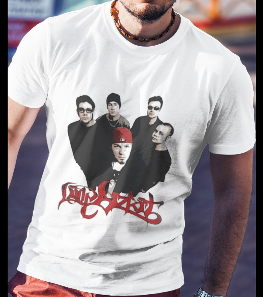What Do You Guys Think Of My Limp Bizkit Band Members T-Shirt