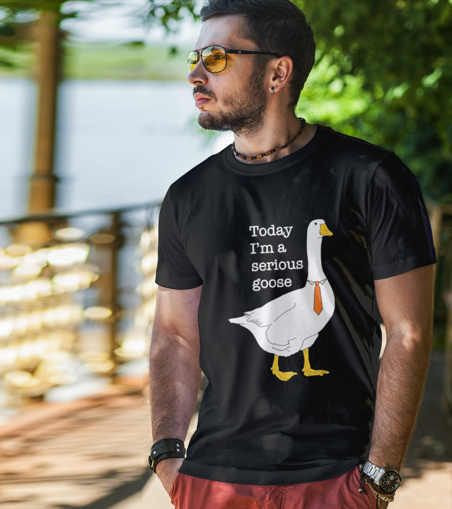Today I'm A Serious Goose T-Shirt