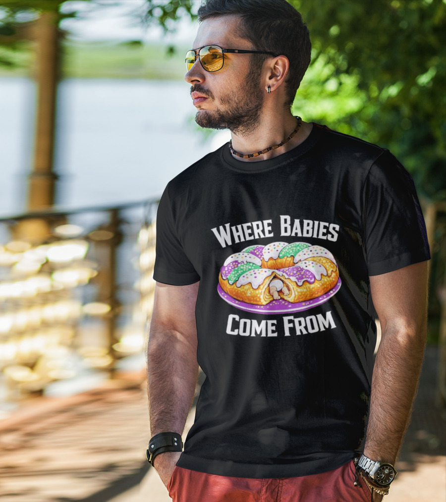 Where Babies Come From King Cake Baby Hidden Inside Mardi Gras Dessert T-Shirt
