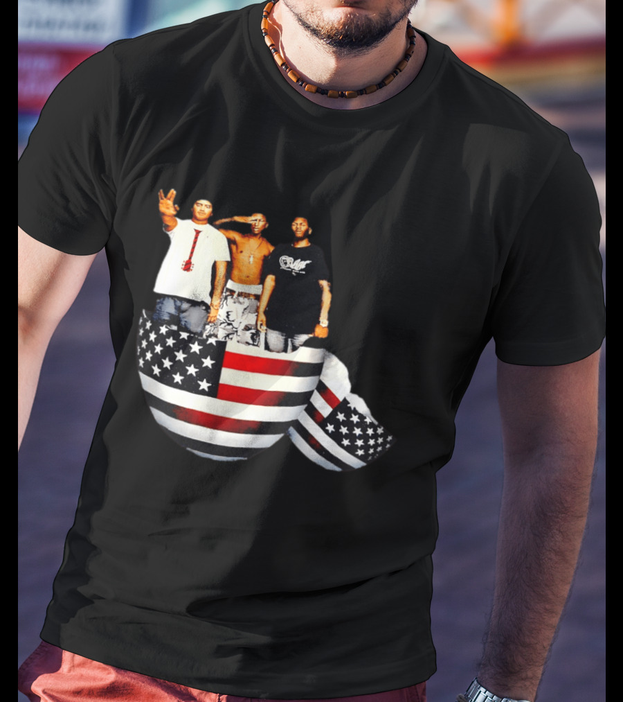 Pharrell Williams Chad Hugo Shae Haley USA Flag Egg Superimposed Image T-Shirt