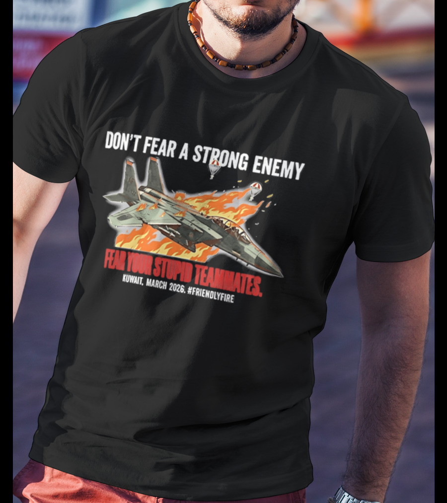 F 15e Strike Eagle Don't Fear A Strong Enemy Fear Your Stupid Teammates 2026 T-Shirt