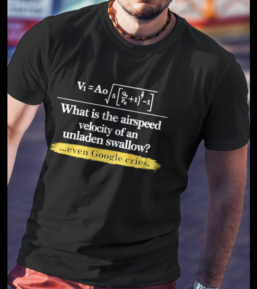 V1 Ao Formula What Is The Airspeed Velocity Of An Unladen Swallow Even Google Cries T-Shirt