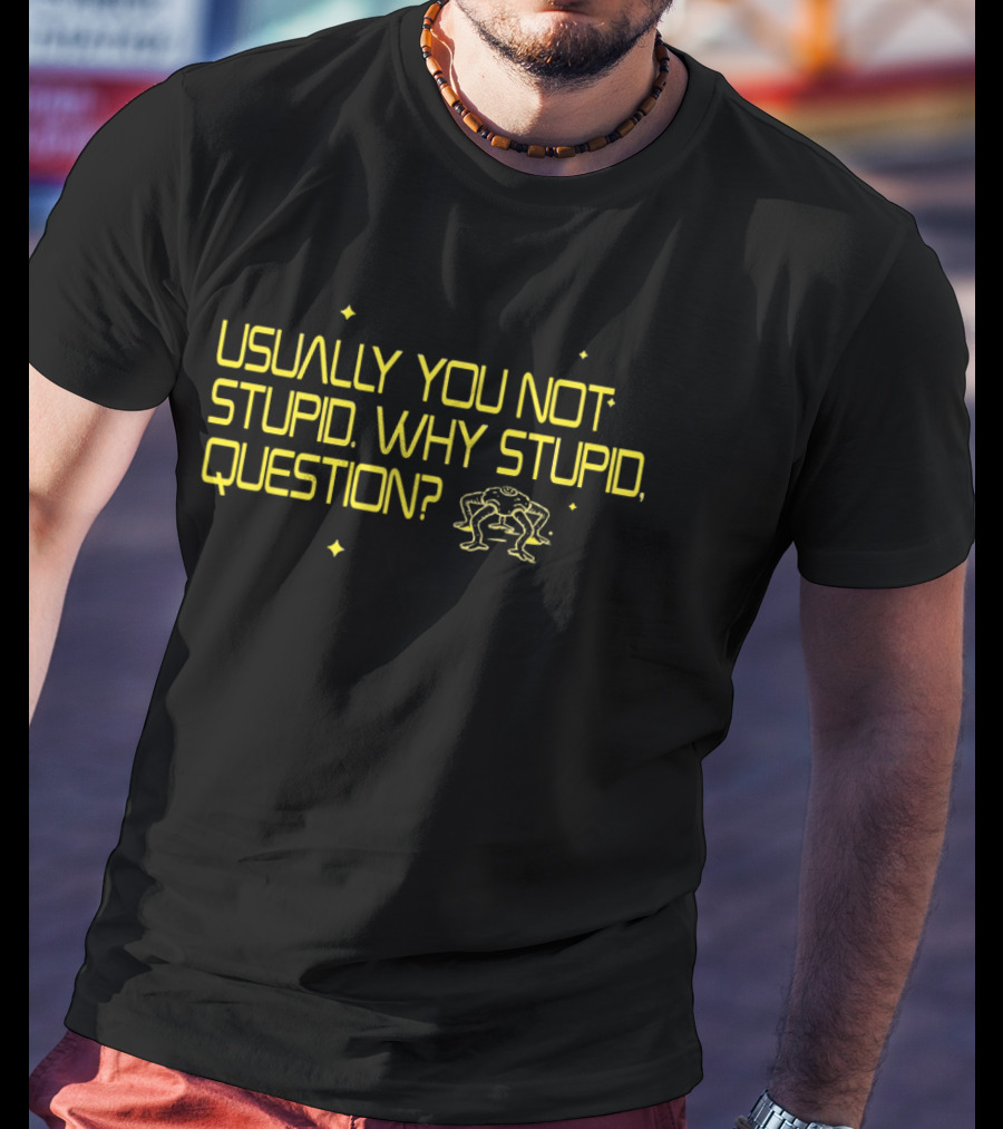 Usually You Not Stupid Why Stupid Question Project Hail Mary T-Shirt
