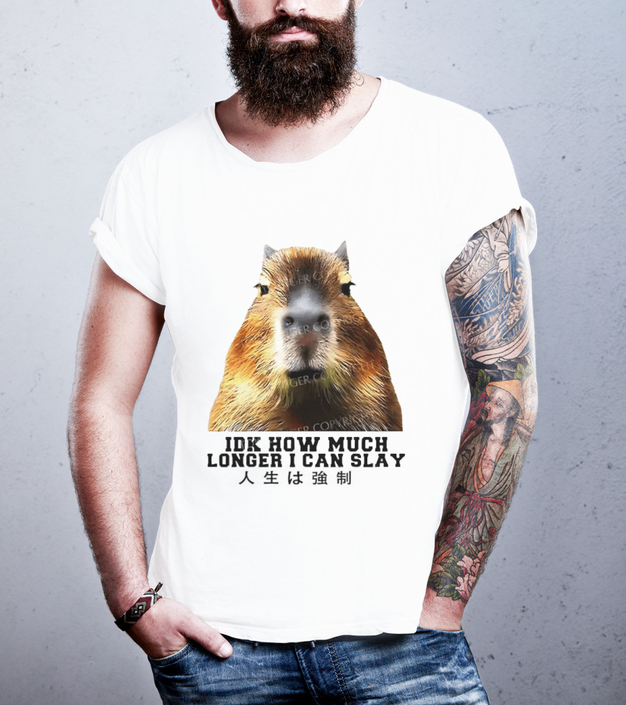 Capybara Idk How Much Longer I Can Slay T-Shirt